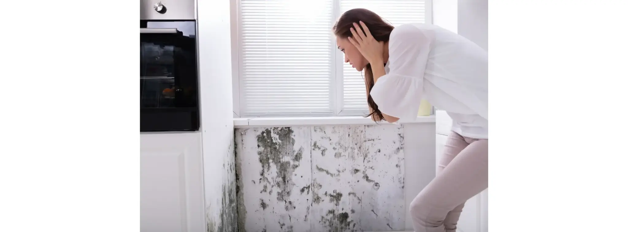 Pleśń na roletach materiałowych: przyczyny, skutki i profesjonalny serwis product img