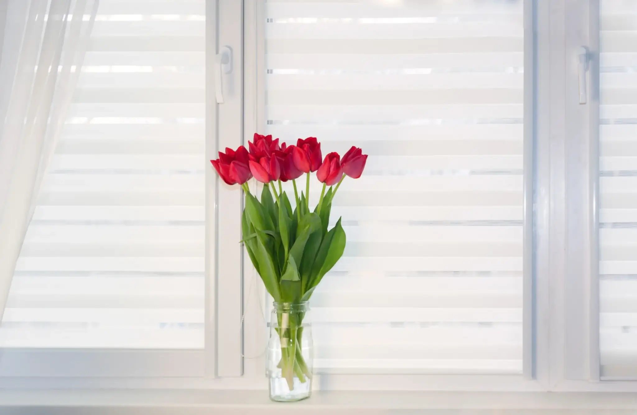 Rolety materiałowe czy dzień noc – które wybrać do swojego domu?